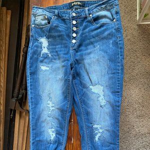 Indigo Rein Jeans